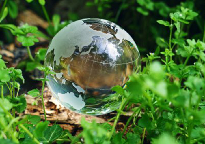 foto NSK ha sido añadida a la prestigiosa lista de "Líderes en Cambio Climático"